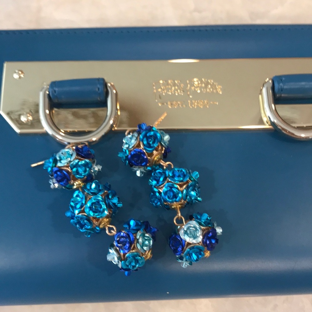 Beautiful Blue Earrings